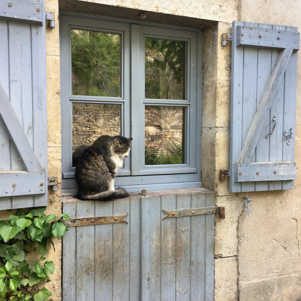 ggglimpopo's tweet image. WEYWARD X VLADIMIR X DON’T LET HIM IN
Newly divorced, Judith retreats to rural France to restore great-aunt Catherine’s cottage—and inherits a town shaped by Catherine’s crimes. When the town turns on Judith, she fights back. Just like Catherine.
#QuestPit #A #Th #U #Q