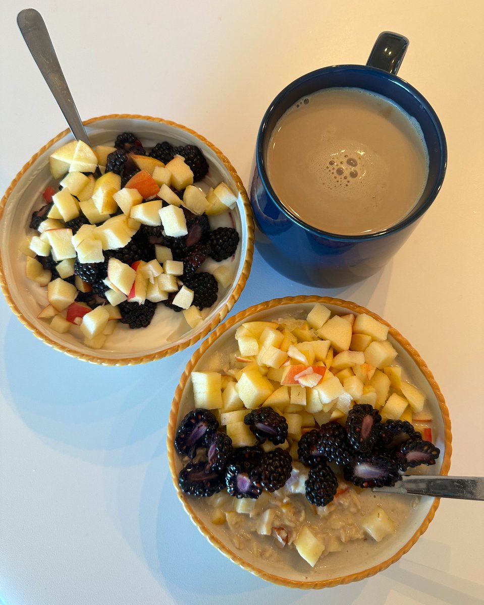 free_style_chef's tweet image. A relaxing weekend breakfast is a beautiful time in our house. 

Oats cooked in milk or Greek yogurt bowls with mixed nuts, crisp diced apple, and halved blackberries. 

#brekkie #goodeats