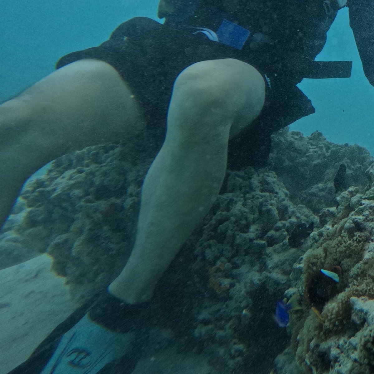 His thick thighs🤤🥵💦