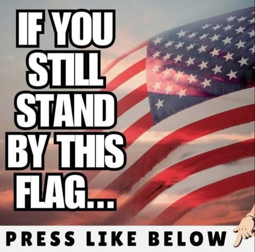 TheSaraTalks's tweet image. If you pledge ALLEGIENCE to this FLAG, drop a thumbs up!