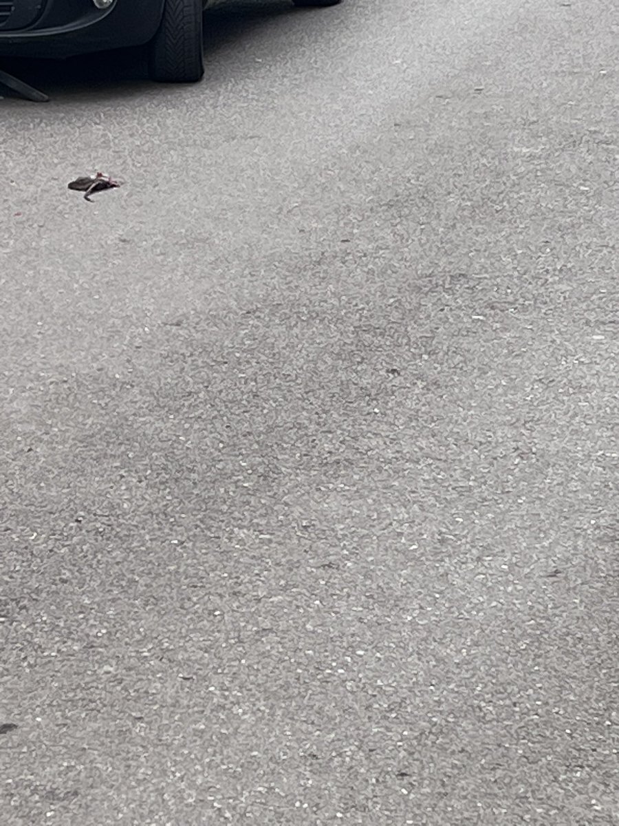 Roncheiconlainormale tweet media