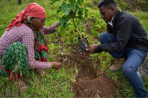 With support from Capri Loans, Raah Foundation restored degraded land in the Western Ghats under the ReGreen Nation programme—working closely with local communities to plant native species and build climate resilience through long-term, on-ground ecological action.