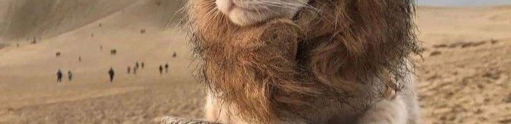 seny0ure's tweet photo. Tap for a surprise