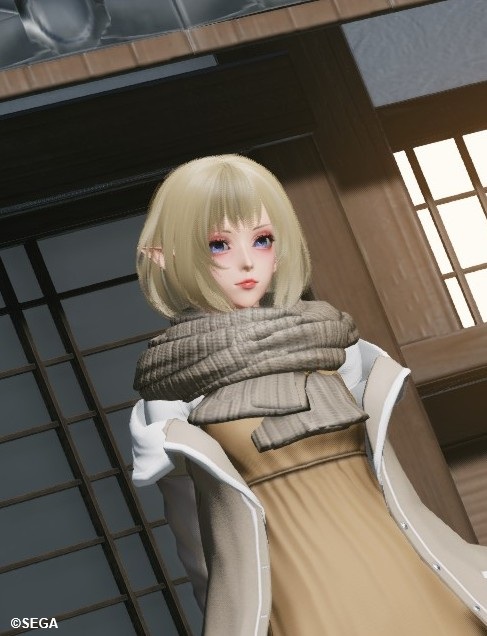 帰宅が遅すぎてシルフィー集会参加できなかった民
#シルフィー集会 
#PSO2NGS_SS