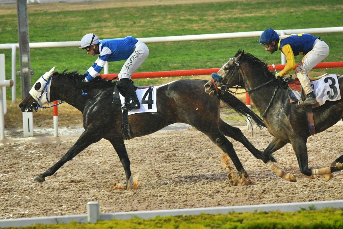 Bu muhteşem yarışı, öncelikle Muratcan Kanar ve Murat Kanar'a adıyorum. Bana bu fırsatı sundukları için içtenlikle teşekkür ederim! 😇 Ayrıca, "Silent Treatment’i “ve ekibini de kutluyorum. Başarılarınızın devamını dilerim!
😇🏇🏇🏇