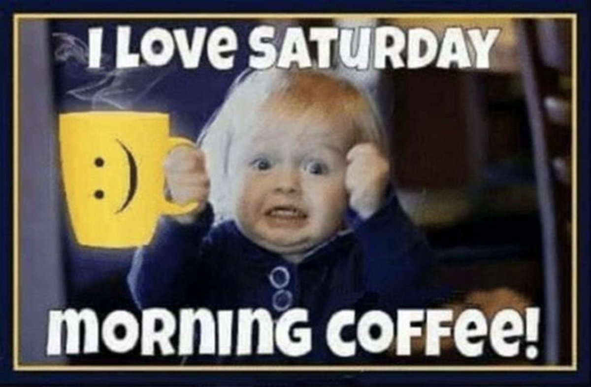 1dilio's tweet image. Good Saturday, squad! My coffee's hitting harder than Congress during shutdown negotiations. Surviving the chaos one sip at a time—hope your day's zero drama and all vibes. What's your survival plan besides doomscrolling? ☕😎
#GoodSaturday #WeekendVibes