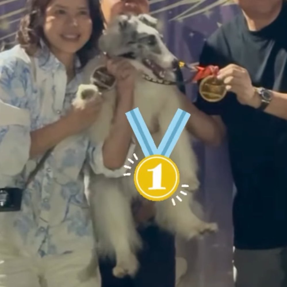biwkeen's tweet photo. agility test ✅ 🏆🥇
kumon exam 🔜
math olympiad 🔜
toefl c2 &amp; ielts band 9 certification 🔜
english speech contest &amp; TED talk 🔜
TGAT/TPAT 🔜

สู้ๆ น้า เจเนทหลานย่า https://t.co/uj5TR3ecOq