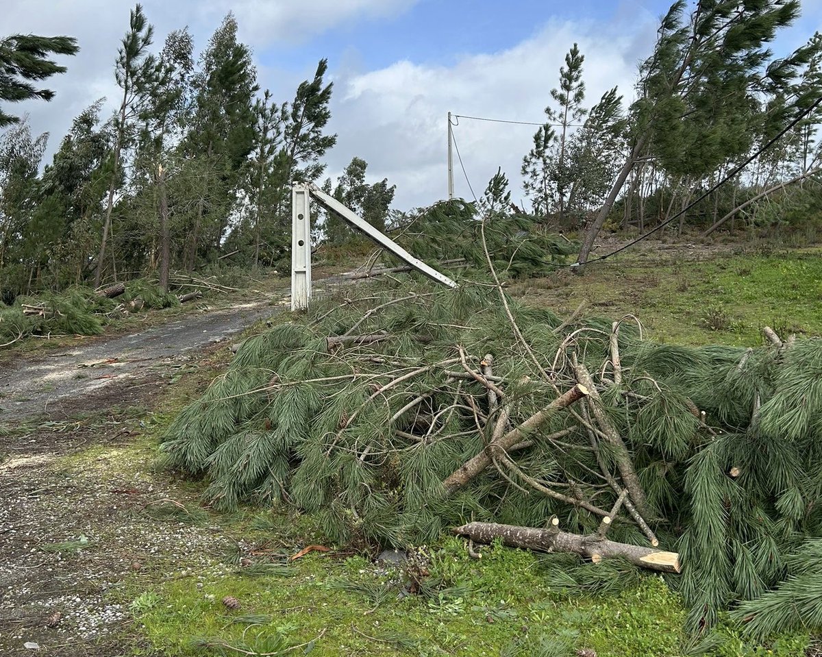 Luís Ribeiro tweet media