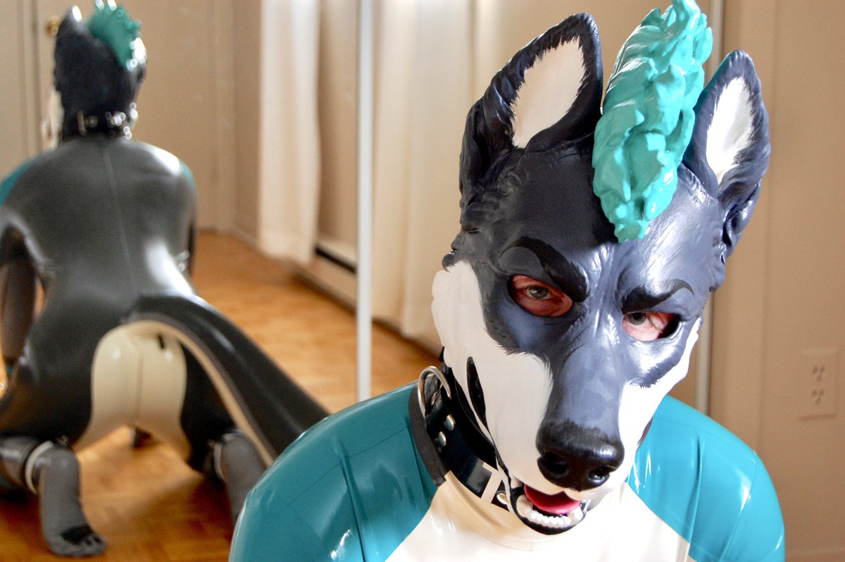 Sherzo @ FE tweet media