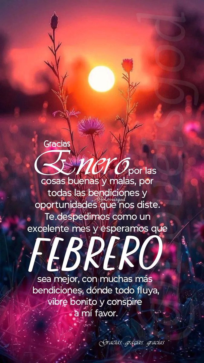 Buenos días mundo XTwitter, que tengamos un sábado genial, plan para hoy, pasar por la feria, despedirse de las tías paternas y emplumarmelas pa Santiago 😉🫶🏼
Les deseo suficiente, agradezcan siempre, sean felices y no olviden sonreír 😁🫶🏼🐟