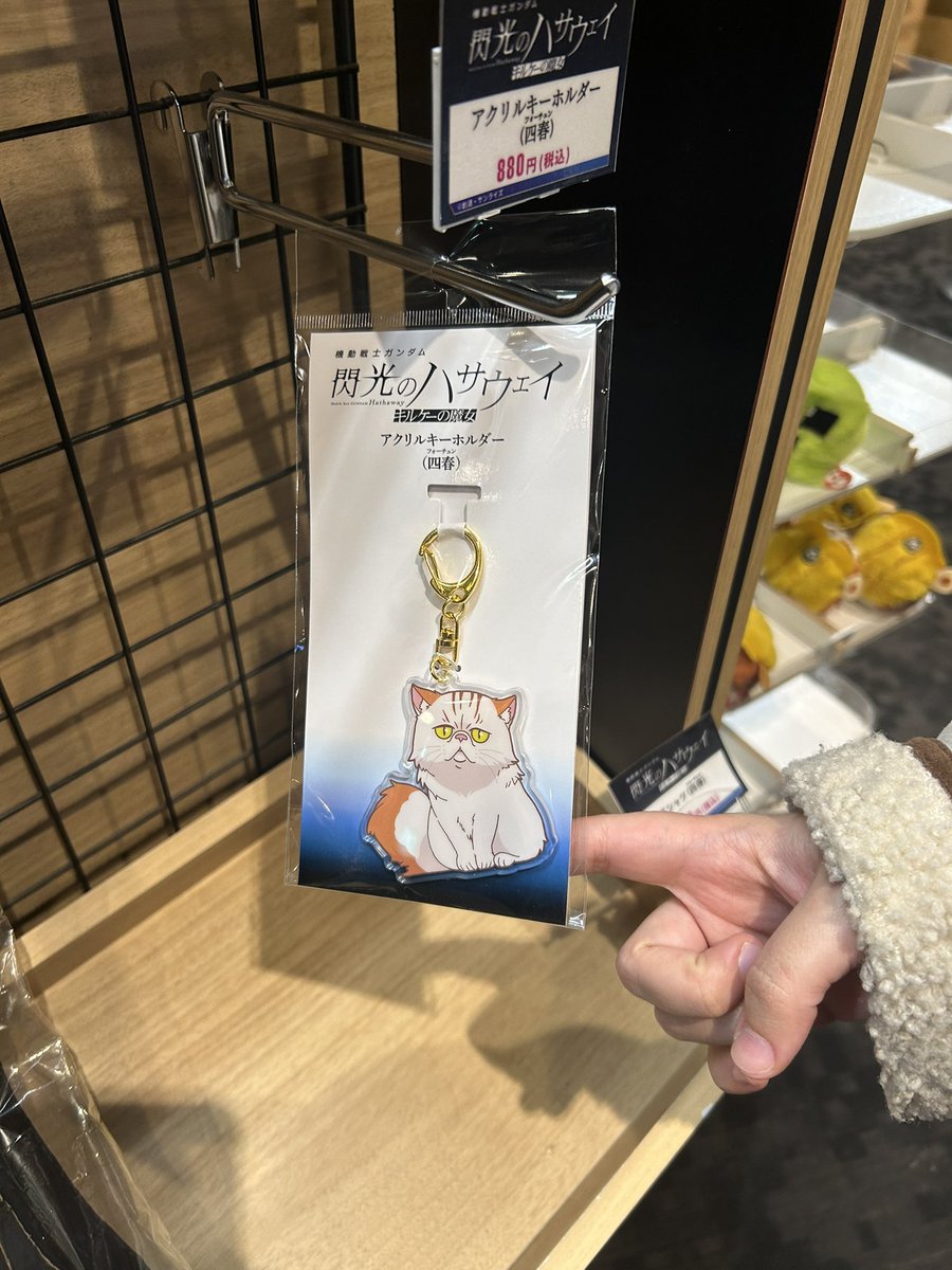 «ти схожа на цього кота» …