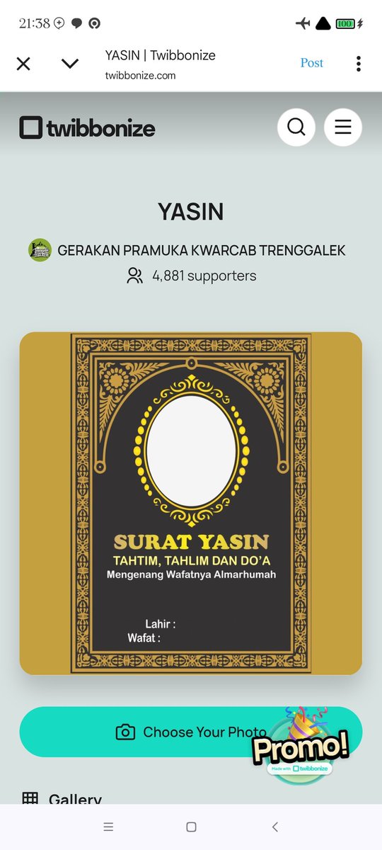 陈星旭 tweet media