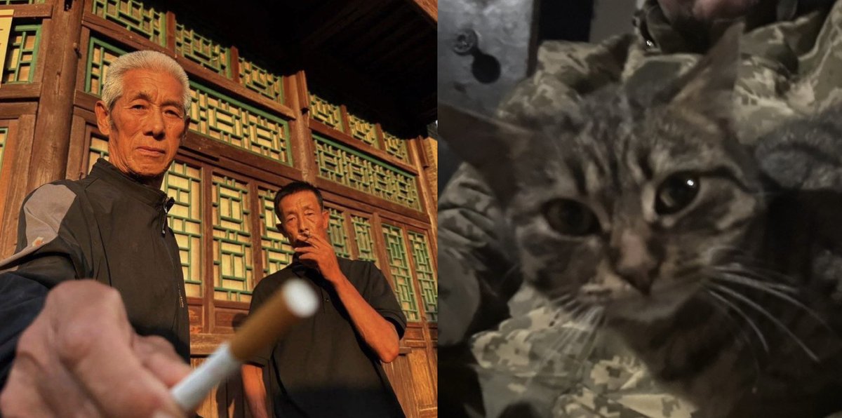 Рома Ігнатенко (@kotyk_ua) on Twitter photo 