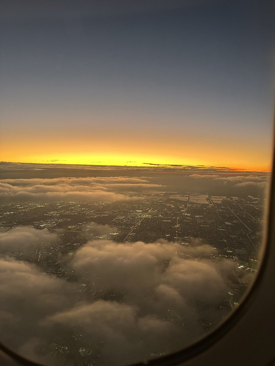 thomaslschubert's tweet image. The future is bright