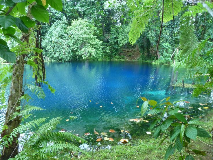 naturaholic's tweet image. nature dressed in blue and green