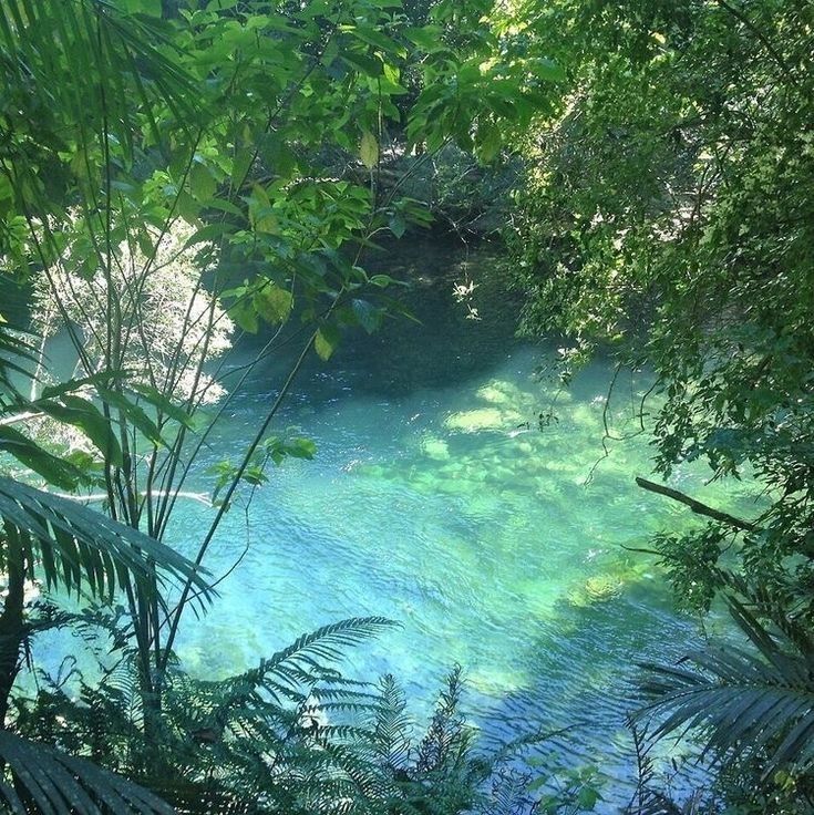 naturaholic's tweet image. nature dressed in blue and green