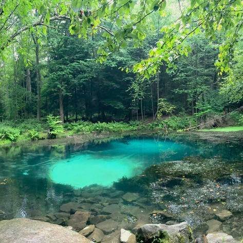 naturaholic's tweet image. nature dressed in blue and green