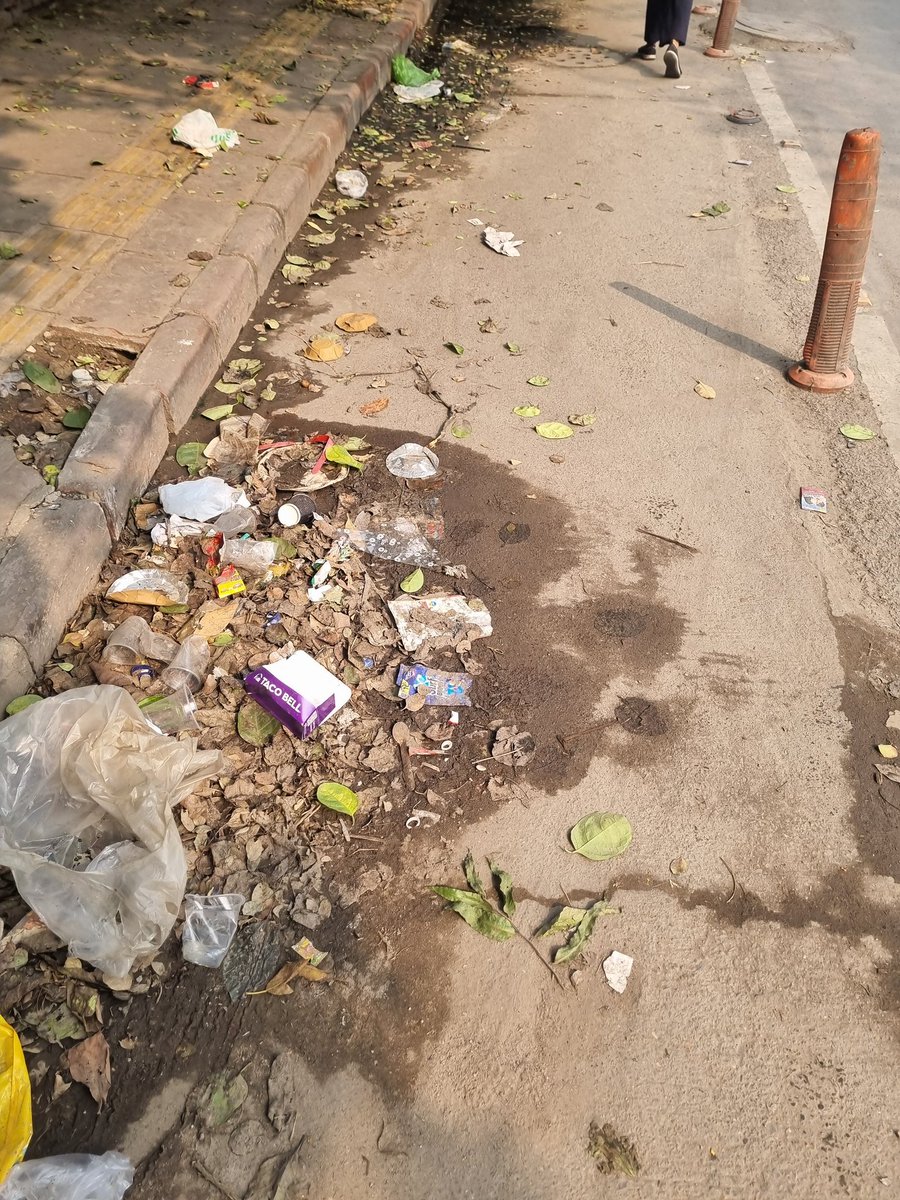 cleanup_Ind's tweet photo. Day 3 of asking @BJP4India @gupta_rekha @CMODelhi @AshokGoelBJP if sanitation workers of Delhi are on strike? @PankajSinghBJP same question to you too and to @Delhiuniversit. Madam CM how is Delhi dirtier than Kejriwal's time?? University area https://t.co/7fO7RENaF1