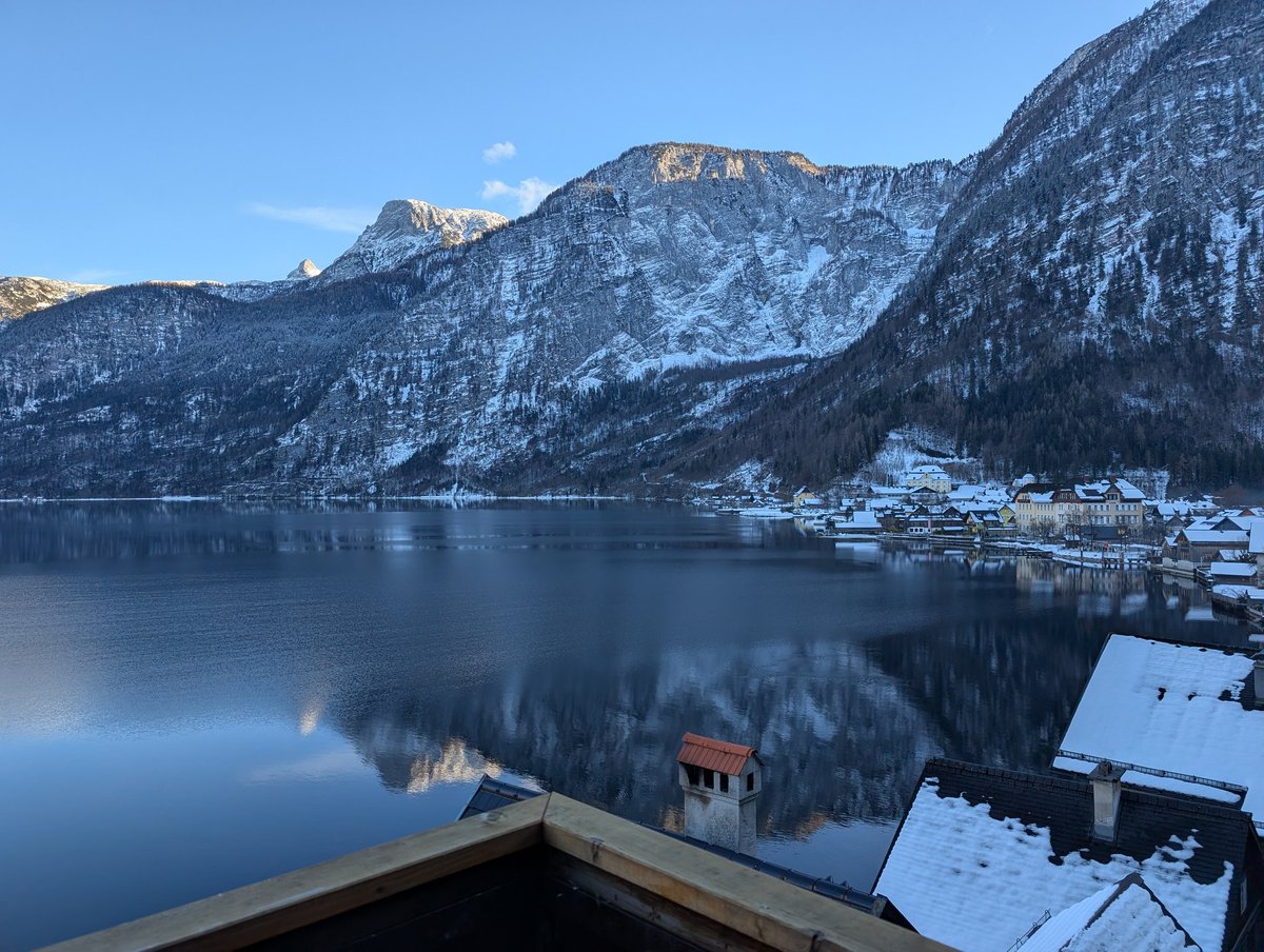 Cornelia Dlabaja tweet media