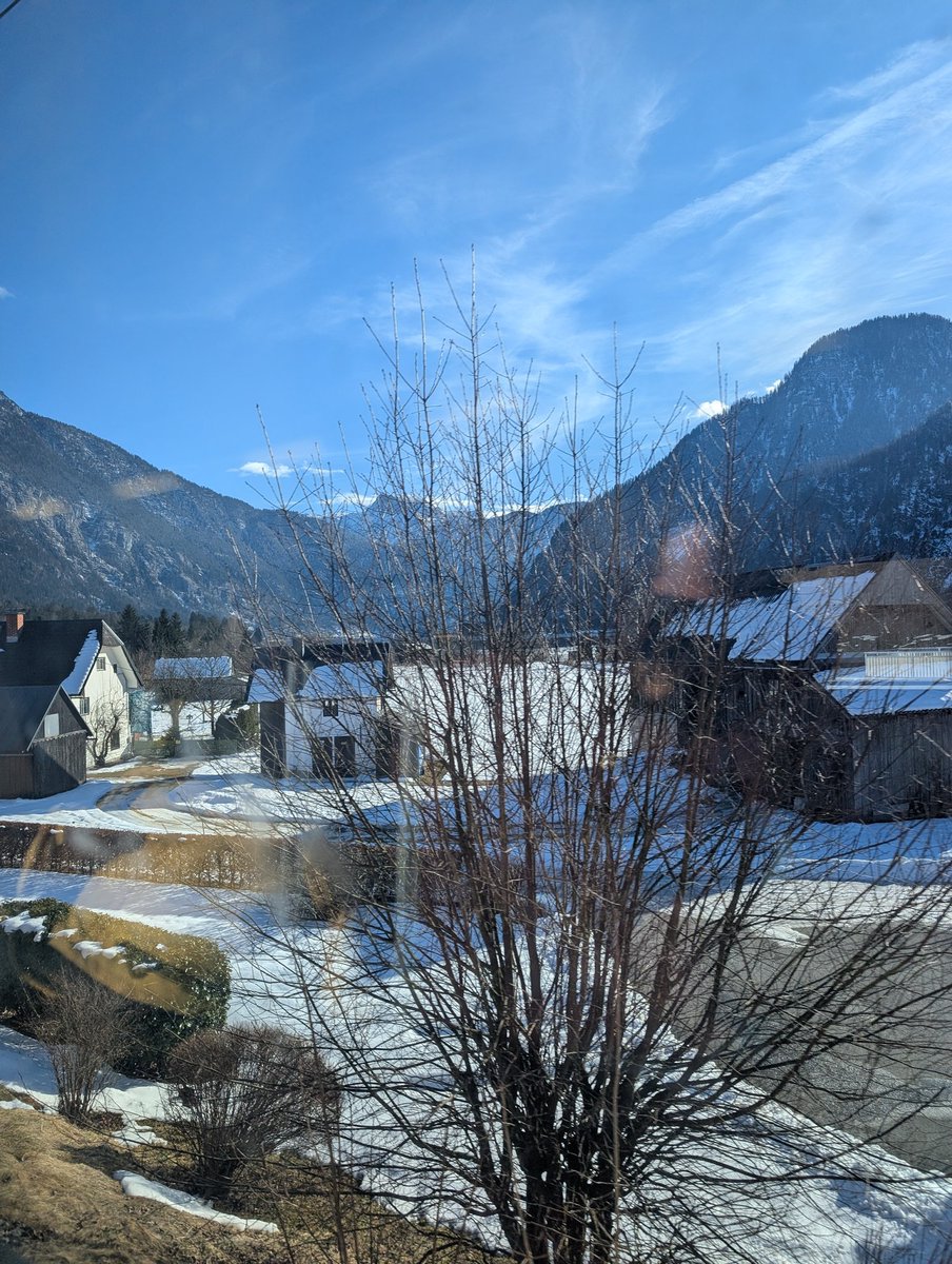 Cornelia Dlabaja tweet media