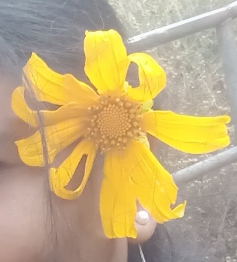 ವಿ. ಎನ್ 

ಕಣ್ಣೀರಲ್ಲಿ ಕನಸಿನ ಬೀಜ ಬಿತ್ತಿದರೆ
ನಾಳೆ ನಗುವ ಚೆಲುವಿನ ಹೂವೊಂದು ಅರಳುತ್ತದೆ ಎನ್ನುವ ಕನಸು.