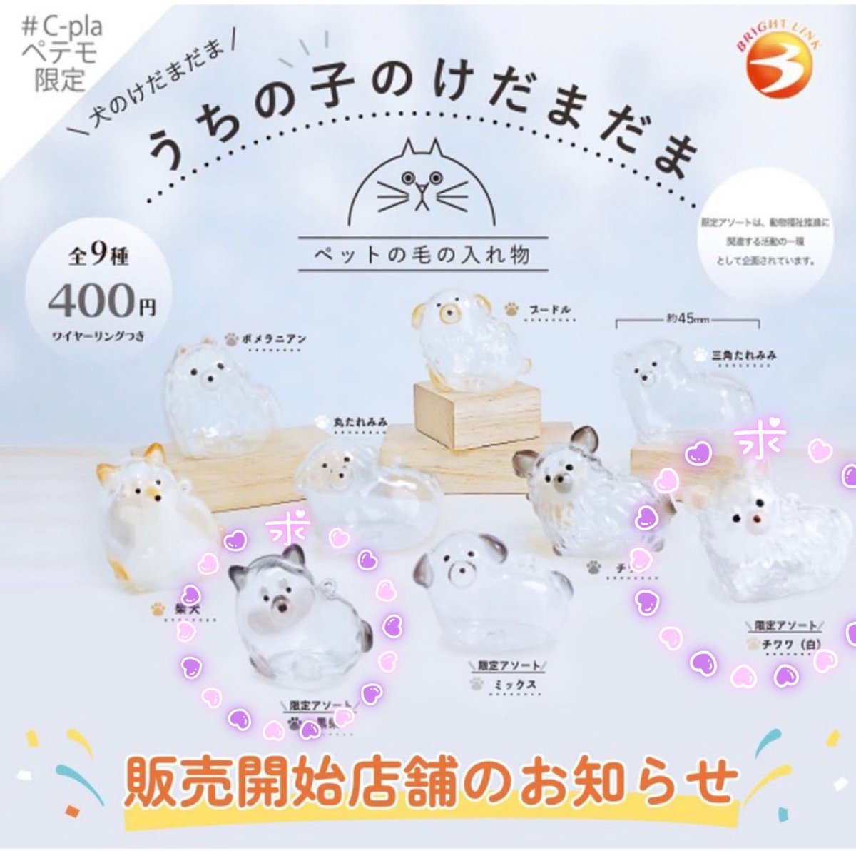 _wan_n__'s tweet photo. 【交換/譲渡】うちの子のけだまだま 犬 ＊猫

譲⤵
🐶1枚目
🐱2枚目

求⤵
🐕白チワワ交換or500円+送料

📮郵送 or 兵庫手渡し

サイトからBOX購入の為お値段500円となります🙇🏻‍♀️
お譲り先を探しておりますので是非お気軽にお声掛けください🍀✨ https://t.co/Gosls4Wymg