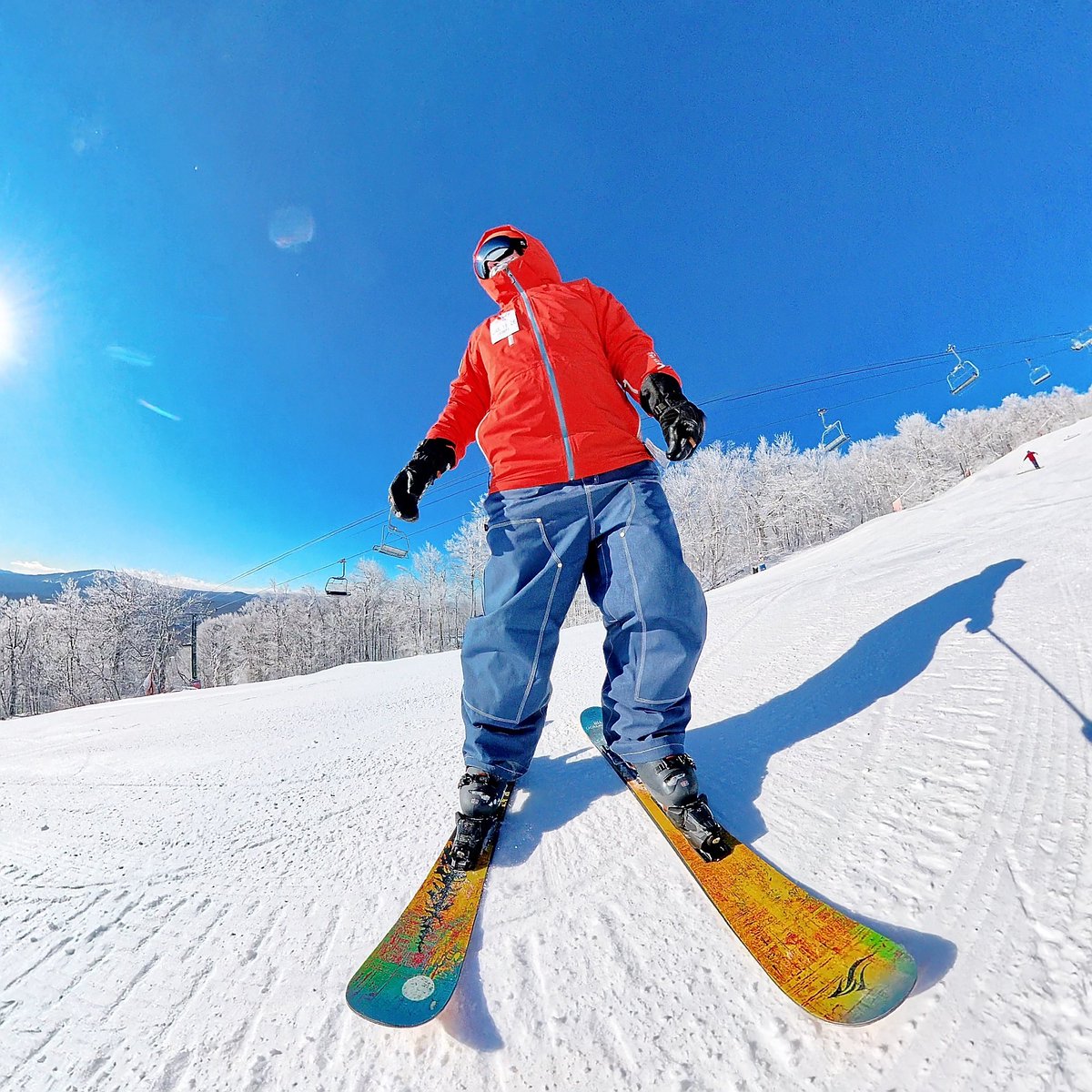 Ski Rex Media tweet media