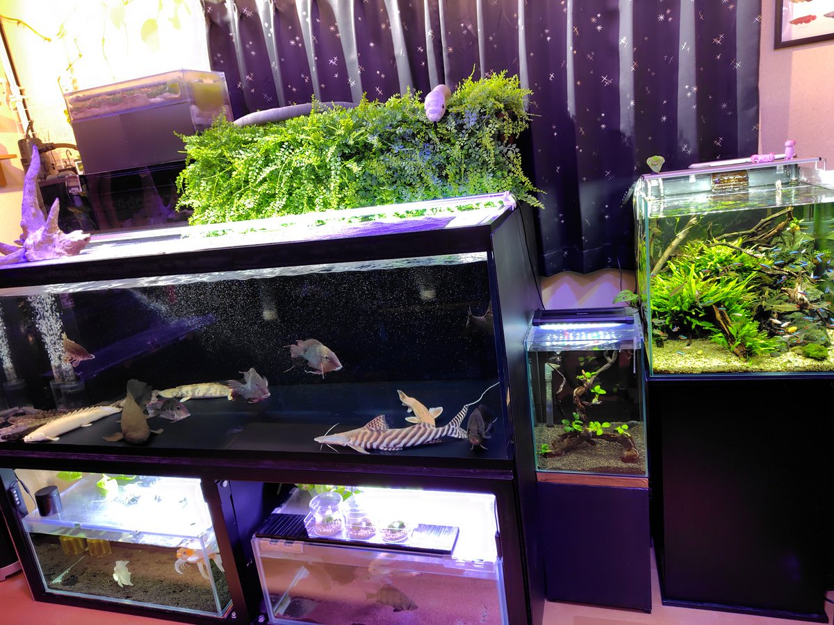 おろろ (@apQhxUfn22GfPkr) / Posts / X