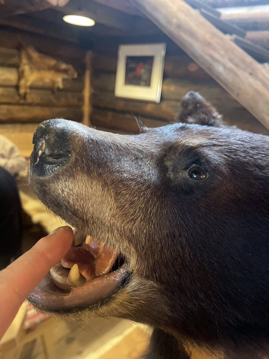 Dominic Bliss tweet media