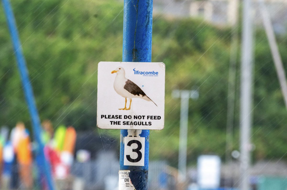 lovenorthdevon's tweet image. Whether you’re planning half-term activities or a weekend adventure, #NorthDevon’s indoor attractions offer the perfect way to make the most of even the stormiest days ☔ 

Find out more: bit.ly/4rhTeFX