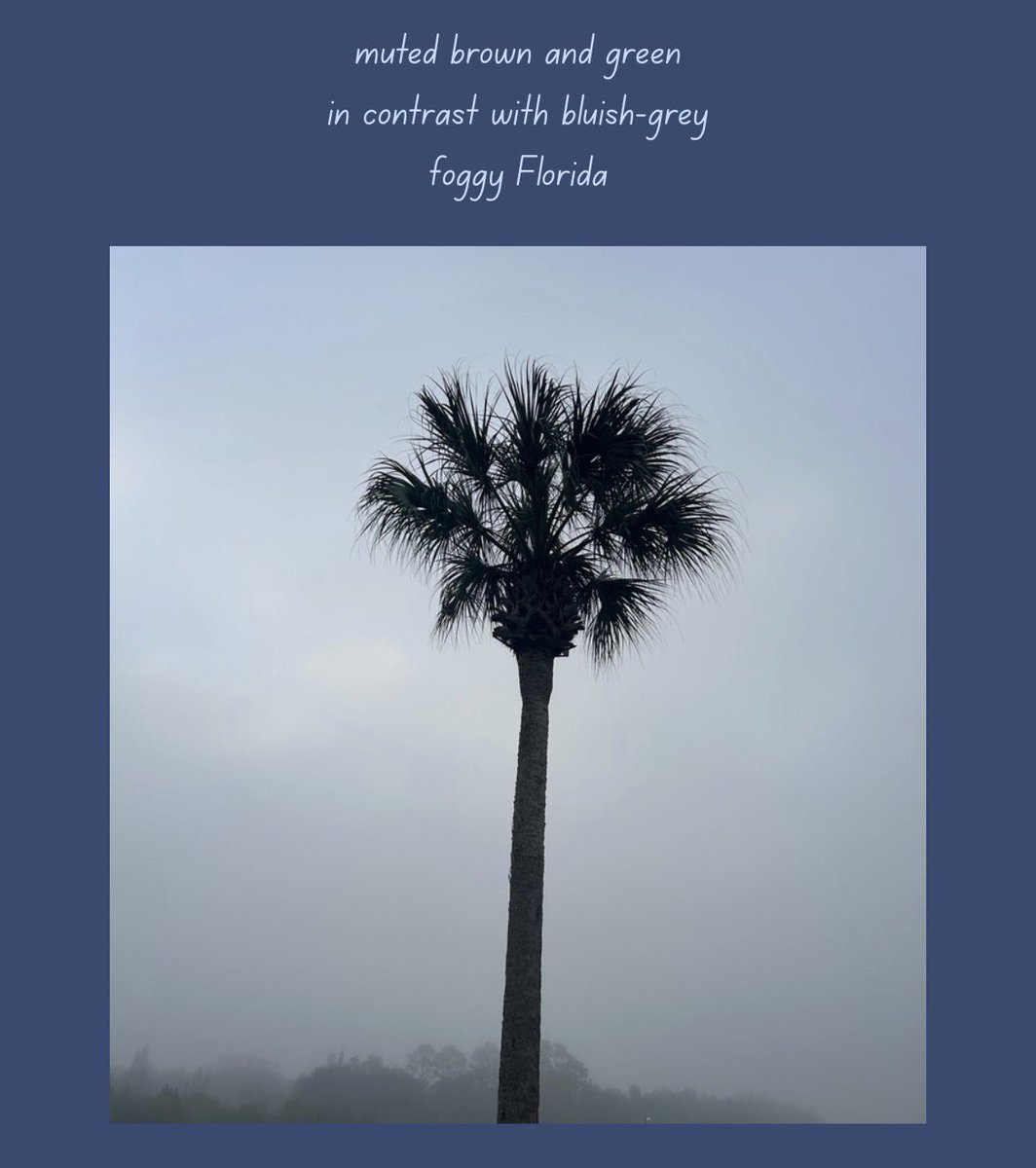 Christopher Knox tweet media