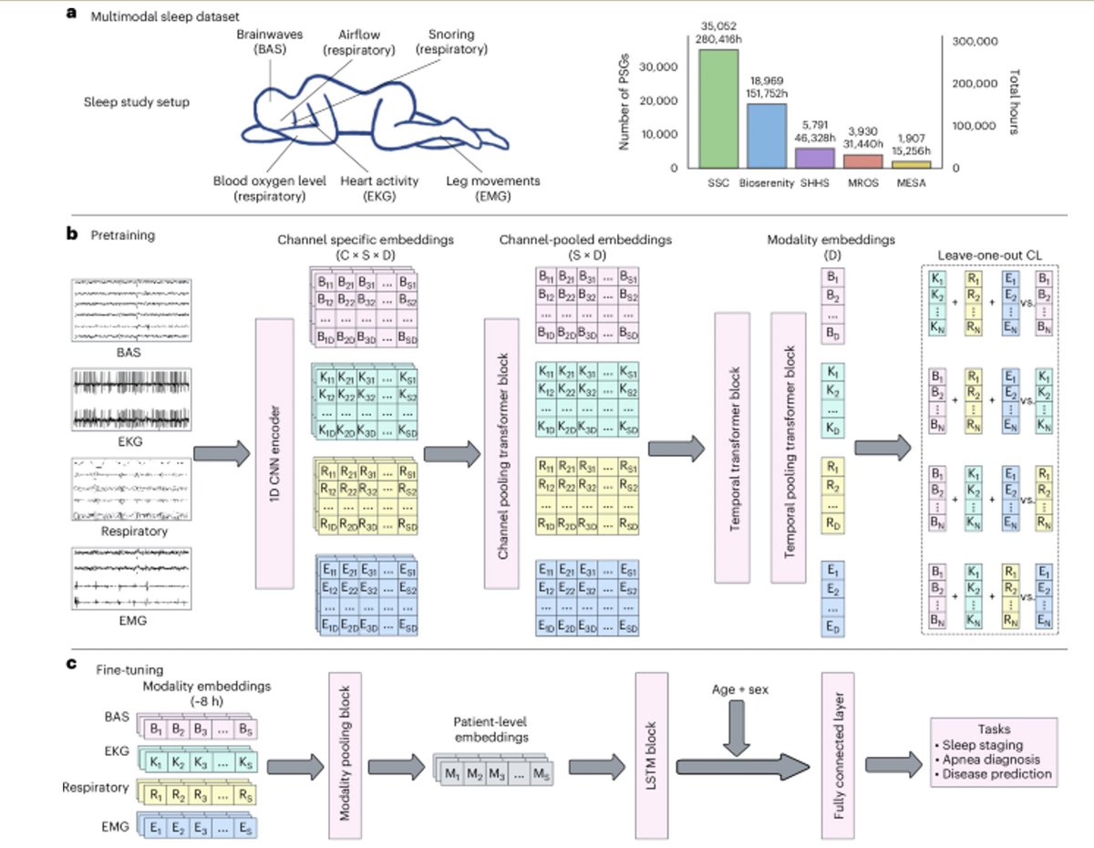 kalpsagliginiz.com/detail/uykuda-…
Uyku testi ile check-up olabiliriz. Nature dergisinde yayınlanan bir yazıya göre basit bir uyku testini check-up’a çevirmek mümkün. Uyku problemleri, uyku apnesi veya horlama gibi sorunlar için uyku testi günümüzde sıkça uygulanan bir araştırmadır.