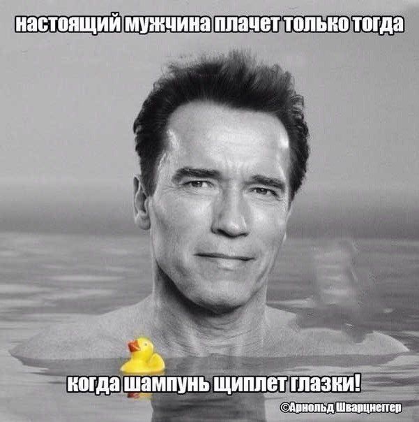 Секси (@seksiludi) on Twitter photo 