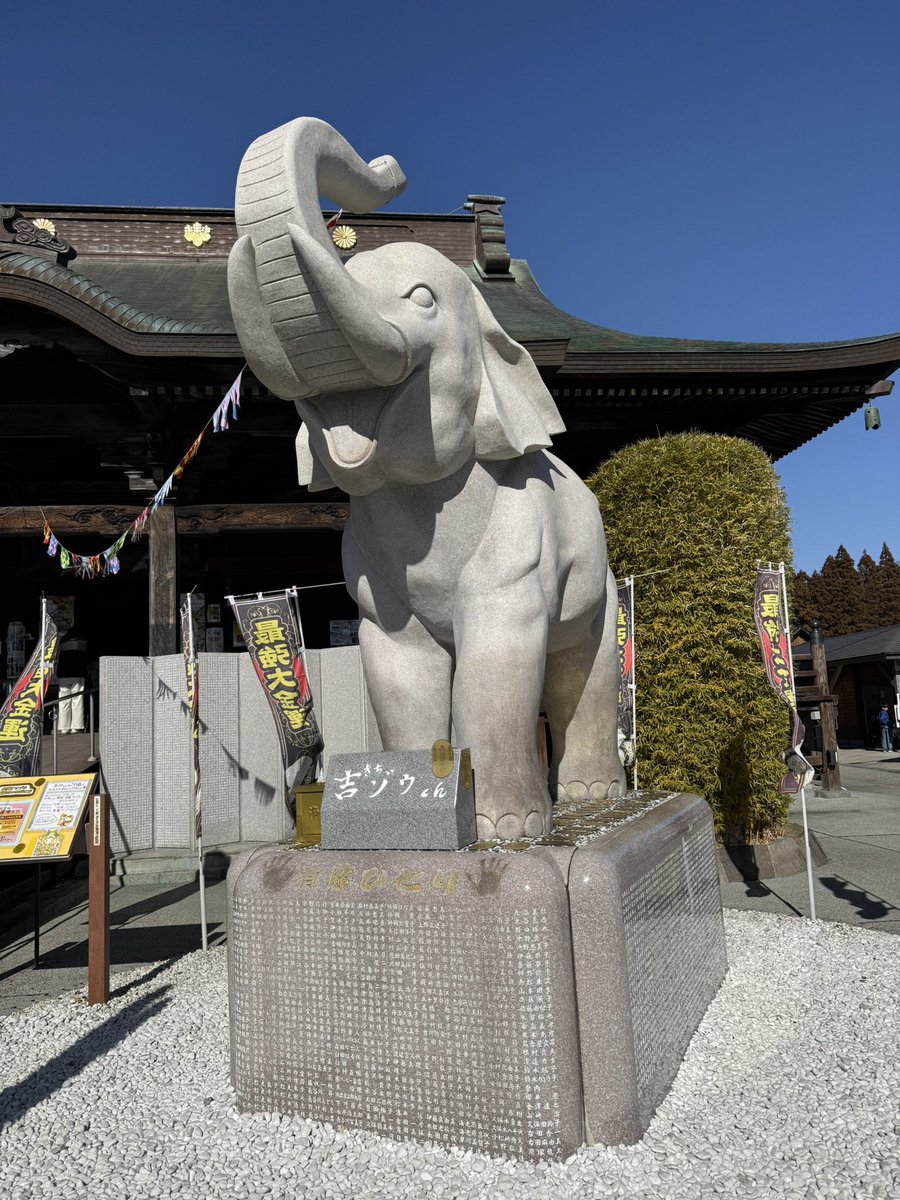 長福寿寺・金運アップの吉ゾウくん【公式】 (@chofukujuji_PR) / Posts / X
