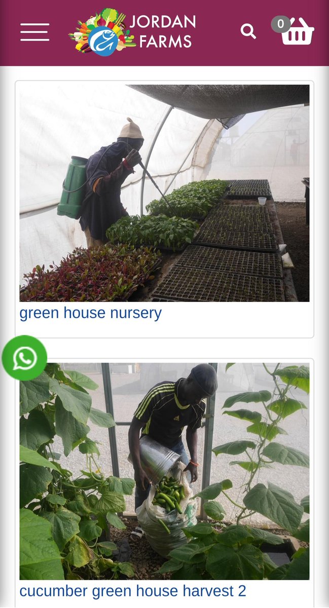 STILL ON WIKE'S GREED AND CORRUPTION 

At a point, Nigerians will wake up and take their destinies in their hands.

There is a <a href="/SaharaReporters/">Sahara Reporters</a> report that FCT minister, Wike diverted 70% of Oshafa Dam to service his Jordan Farms and the rest 30% to serve the rest of the FCT.