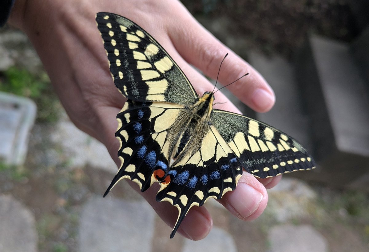 まさやん (@masayan59896607) / Posts / X