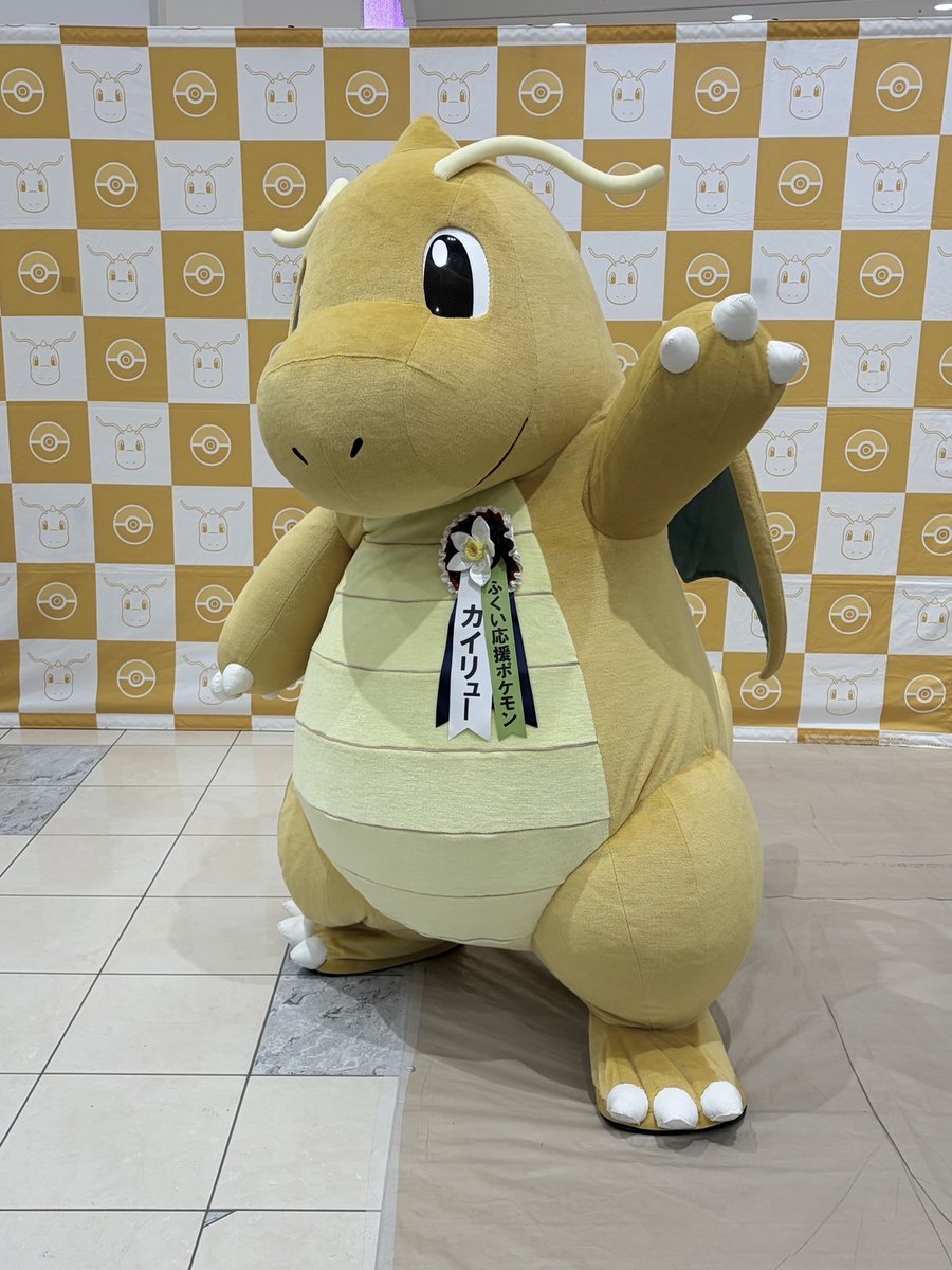 e 応援ポケモン カイリュー 福井県 ぬいぐるみ イシツブテ 岩手県 ぬいぐるみ ふくい応援ポケモン カイリュー｜三英貿易株式会社