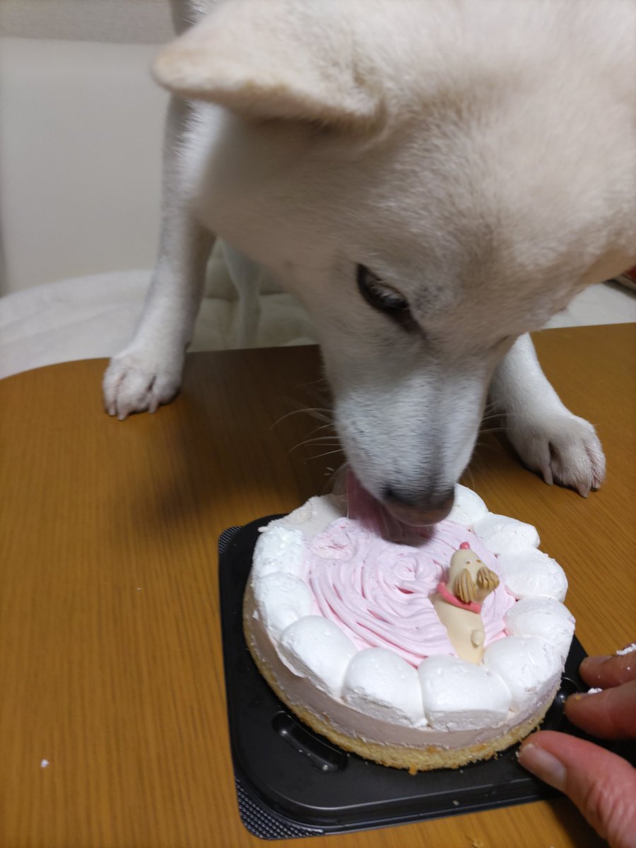 水瓶座♒️ちろ (@xYWsDRmcZE9m1g7) / Posts / X