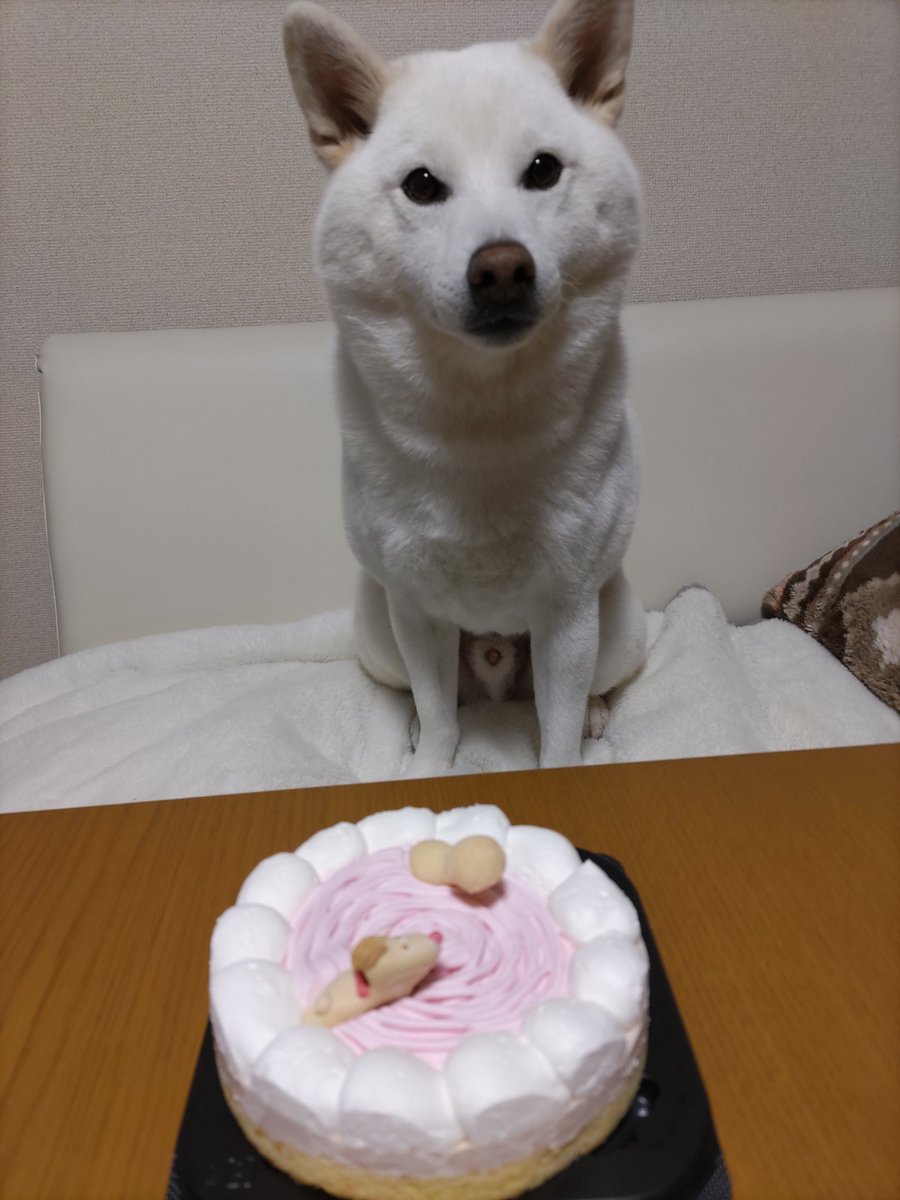 水瓶座♒️ちろ (@xYWsDRmcZE9m1g7) / Posts / X