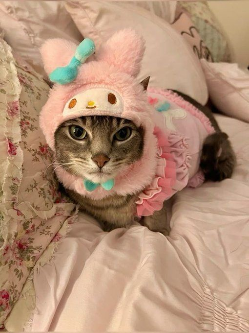 lovesickdoe's tweet image. 