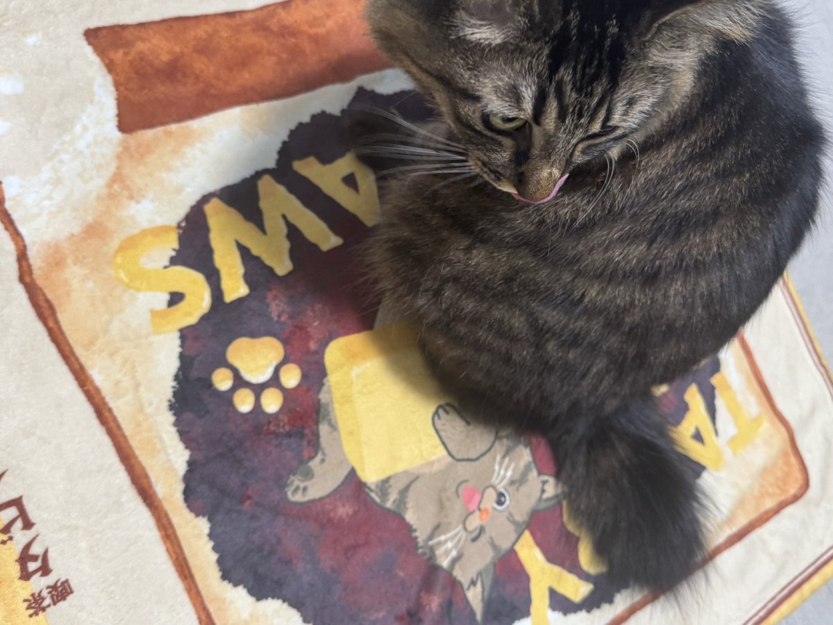 黒柳 能生〈公式〉 (@kuroyanagi440) / Posts / X