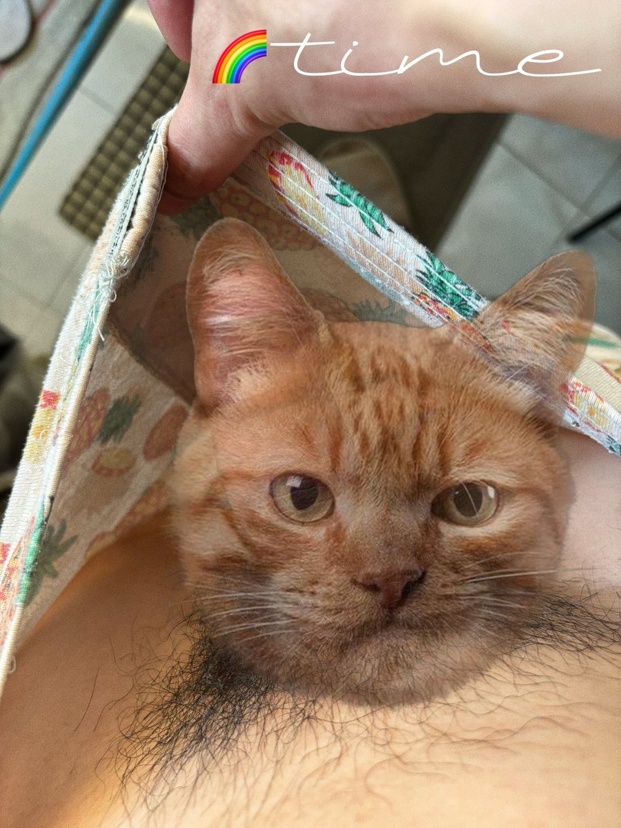 🕒TIME tweet media