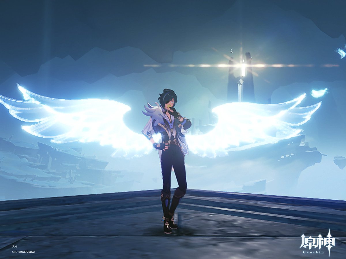 片翼🟥&amp;両翼🟦