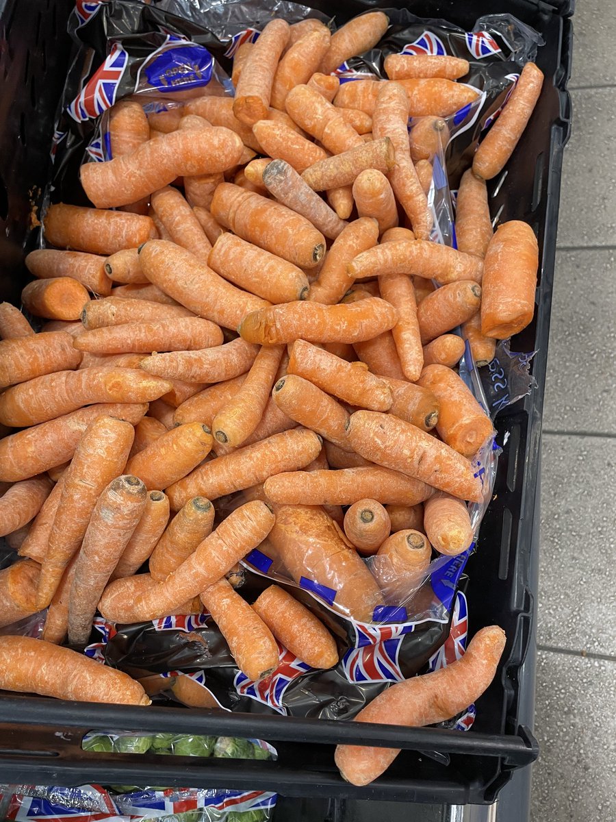 NeilRobbo1106's tweet photo. @sainsburys this is the quality of your loose carrots at Sainsbury’s Heaton this morning https://t.co/c9qA1a2dPB