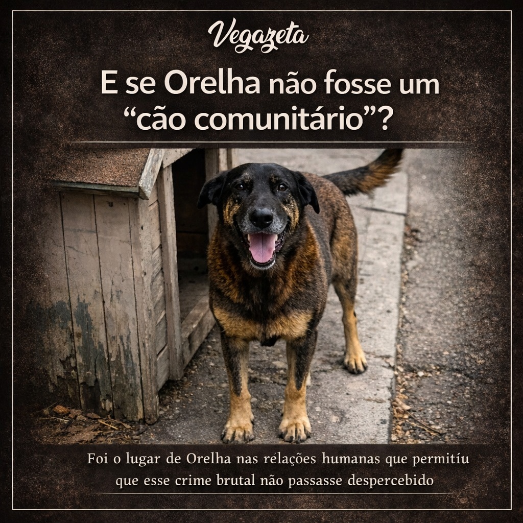 DavidArioch's tweet photo. Leia o artigo na Vegazeta: https://t.co/mxSDlWbezH

#vegazeta https://t.co/aSz4EhRC0h