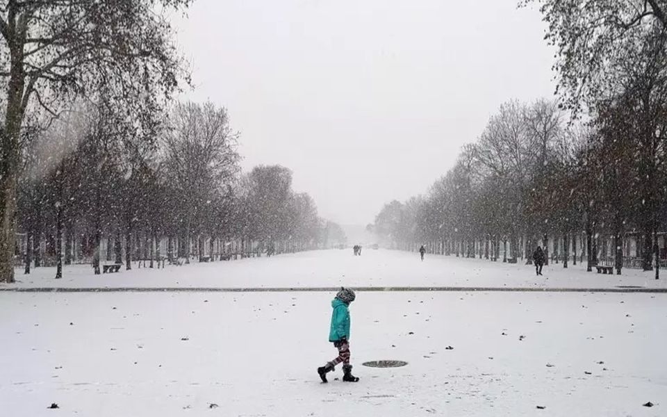 L'autista del bus: "Chiedo scusa per il bimbo lasciato a piedi" 
telenuovo.it/2026/01/31/lau…