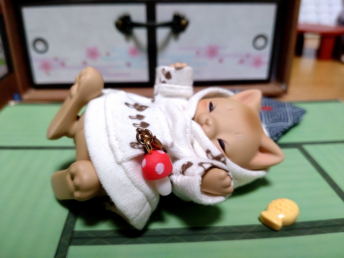 kougazepk's tweet photo. openは割とイケ猫と思ってるんですけどcloseの眠り目はエケチェンでかわいいねぇ似たような構図ばかり撮ってしまうエケチェン
#cocoriang
#mocka https://t.co/R6bNEyKhOy