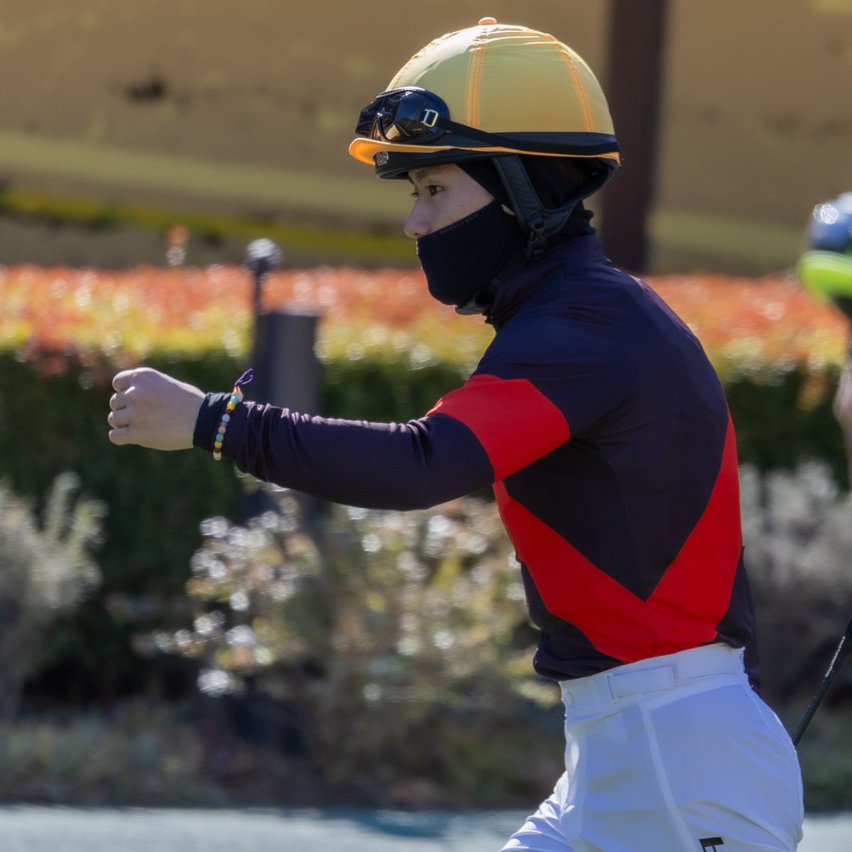 toku_kitaru's tweet image. 2026.1.31 東京7R 3歳1勝クラス
#ヴォーカライズ × #西村淳也 騎手

初の府中でも力を見せてくれて良かったです！また淳也くんとのコンビで勝ち上がって欲しい✨️