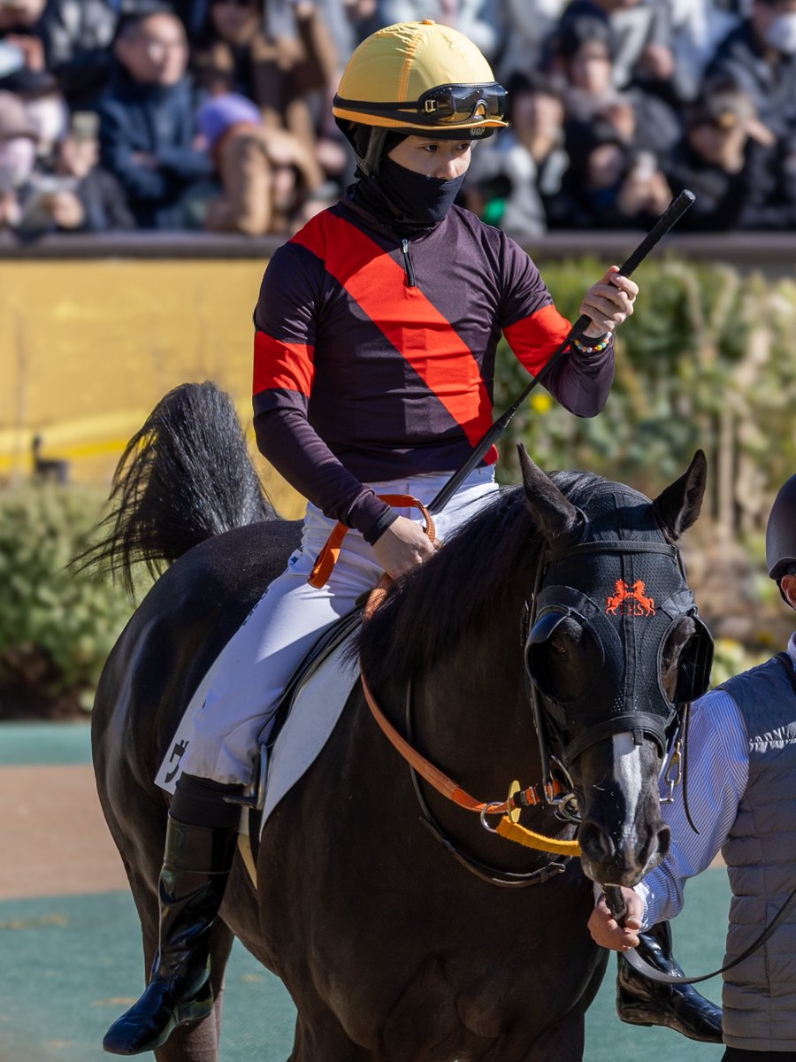 toku_kitaru's tweet image. 2026.1.31 東京7R 3歳1勝クラス
#ヴォーカライズ × #西村淳也 騎手

初の府中でも力を見せてくれて良かったです！また淳也くんとのコンビで勝ち上がって欲しい✨️