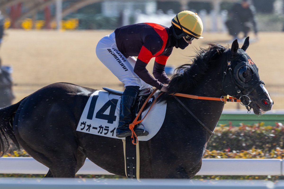 toku_kitaru's tweet image. 2026.1.31 東京7R 3歳1勝クラス
#ヴォーカライズ × #西村淳也 騎手

初の府中でも力を見せてくれて良かったです！また淳也くんとのコンビで勝ち上がって欲しい✨️